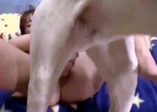 Amazing and passionate scene of dog sex