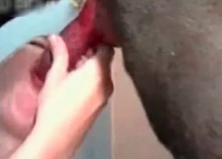 Hot lady wants to swallow the cur's sperm