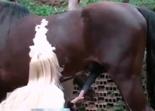 Zealous hottie is jerking big cock of the stallion