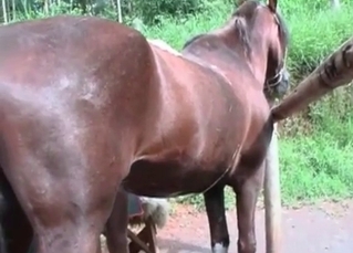 Sexy babe wearing the mask is fucking with the horse