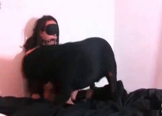Dark pet is fucking a tied up lady