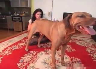 Lustful chick is satisfying the puppy