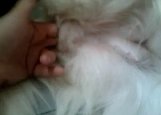 Unfazed doggo finger-fucked hard in POV