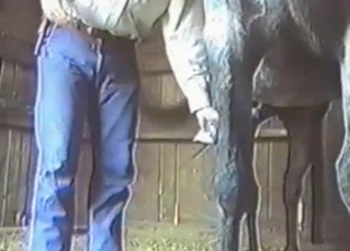 Gay farmer jerking horse's cock