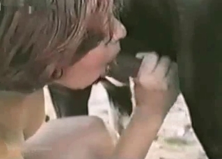 Huge horse is punishing this juicy slut