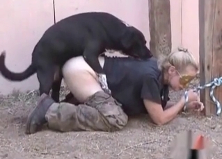 Sexy doggie is drilling the zoophile's asshole