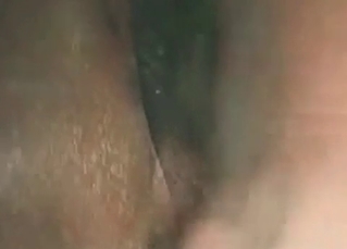 Dark mutt is enjoying wild fuck