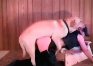 She is going mad while fucking with the animal