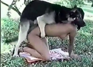 Slut is fucking with a dog on the street