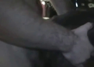 Session of some ass fucking for the mutt