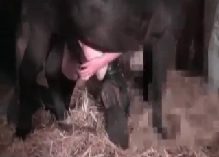 Black stallion is making this lady cry