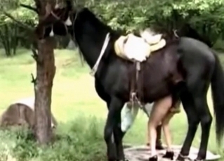 Animal sex with the powerful horse