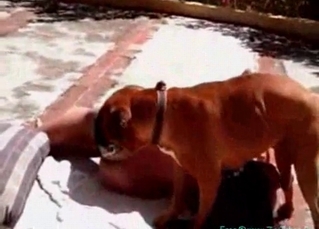 Join this babe tasting her pet's penis