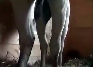 Gentle model wants to fuck with the doggie