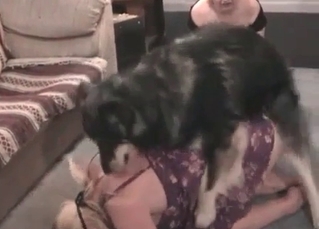 Lustful blonde gets banged by the puppy