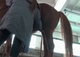 Turn on this clip to see the stallion's shit