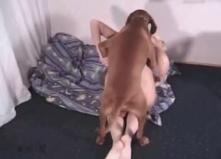 Nobody can stop this chick fucking with her mutt