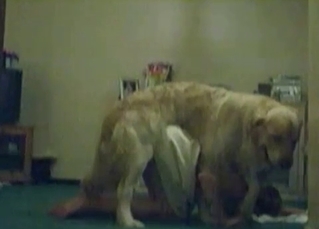 Masked whore is satisfying an animal