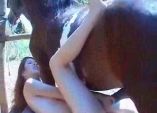 Unstoppable stallion is having sex on cam