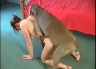 Hungry babe gets fucked by the puppy