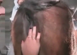Small horse gets all the holes penetrated