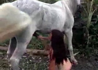 She is going to fuck with the horse