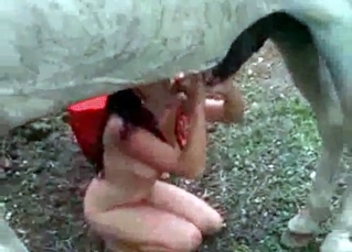 She is going to fuck with the horse