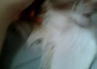 Unfazed doggo finger-fucked hard in POV