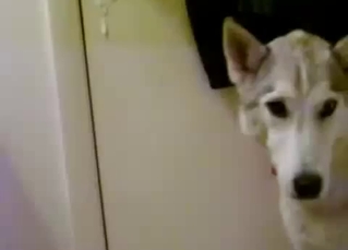 Emo teen hottie kissing her dog on cam