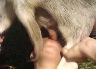 Outdoors blowjob for a big-dicked goat
