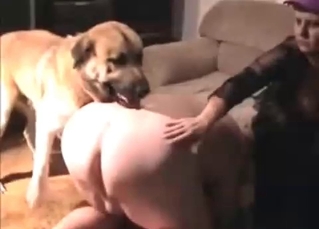 Fat MILF is gonna get wrecked here