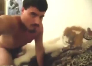 Big stuffed wolf toy gets fucked by a dude