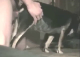 Guy uses his penis to fuck a sexy beast DEEP