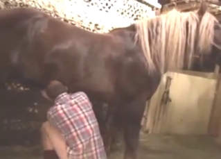 Zoophilic dude fucks a horse's hot penis too