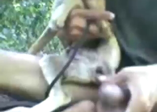 Totally cute beast is going to get anally gaped