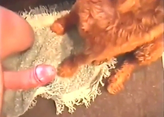 Dude barking orders at his dick-licking dog