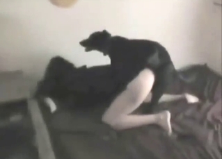 Home-shot zoophile porn with a sexy girlfriend