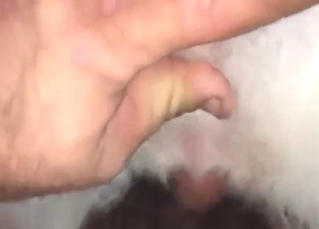 Dude be power-tripping with that animal's ass