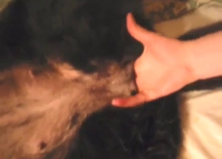Hard nips dog gets seduced by his fingers