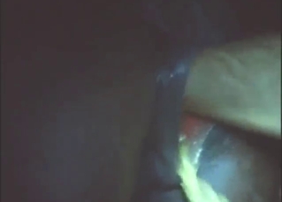 Nothing lasts forever if you are are a slutty mare