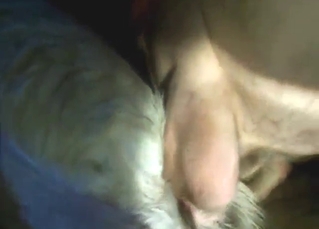 Goat fingering and banging feels really kinetic