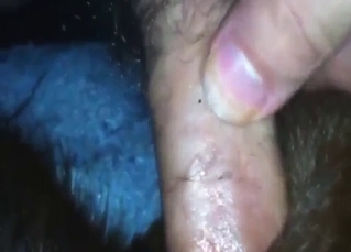 Horny dog shows off its big hard cock skills