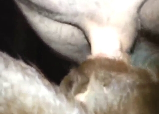 Dude finds a way to fuck that beast hard at night