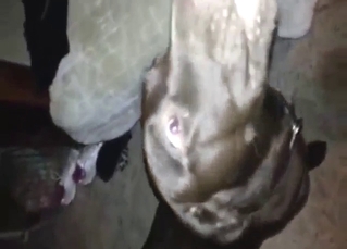 Dude finds a way to fuck that beast hard at night