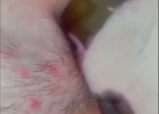 Sexy white animal getting freaky with a pissy vag