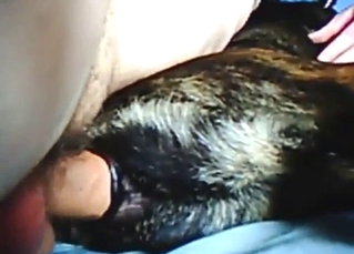 Zoo sex scene with a guy fucking a slutty dog