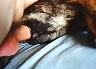 Zoo sex scene with a guy fucking a slutty dog