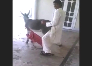 Dude shows why men like him love donkey pussy