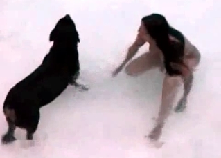 Lovely babes are fucking with mutts in the pool