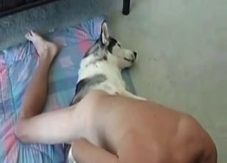 Passionate man is having sex with his pet